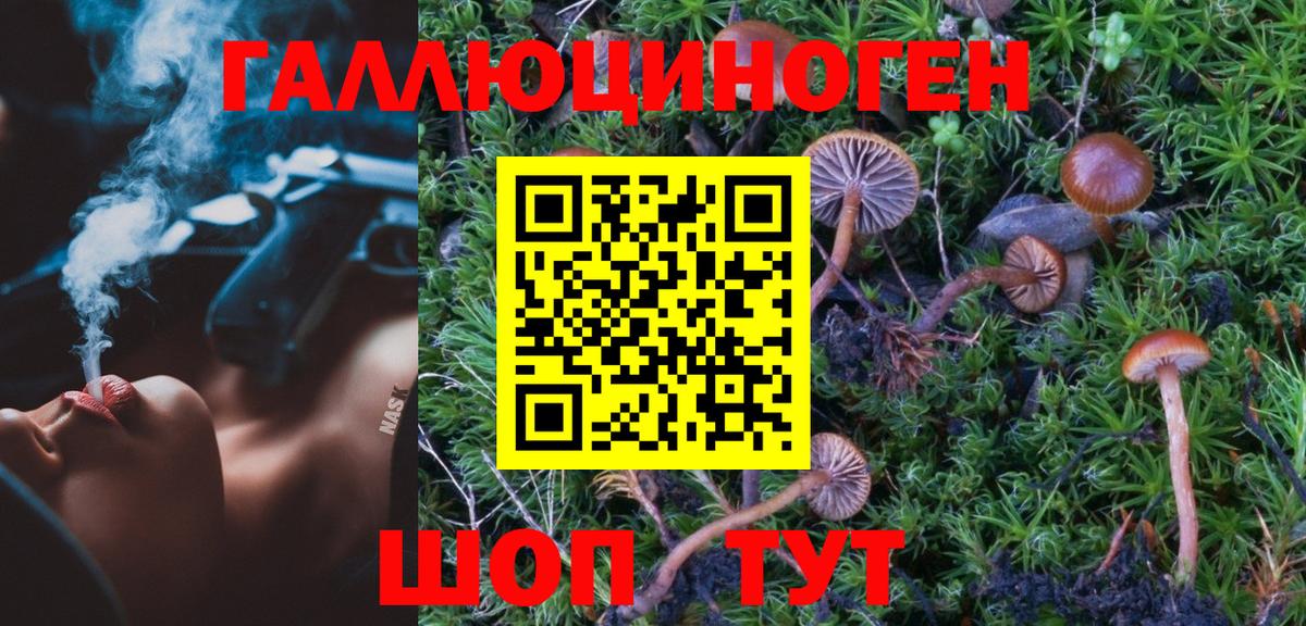 Галлюциногенные грибы мухоморы  Галлюциногенные грибы Psilocybine cubensis  наркошоп  Кореновск  Вход с VPN 