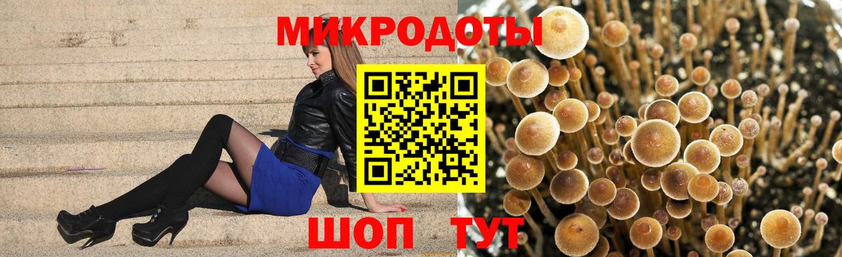 Псилоцибиновые грибы Magic Shrooms Кореновск
